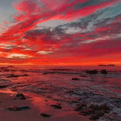 ayx在线登录入口手机app下载