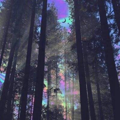 pg麻将胡了网站