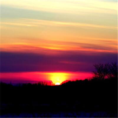 im电竞官网app下载