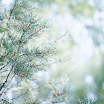 星空游戏app下载