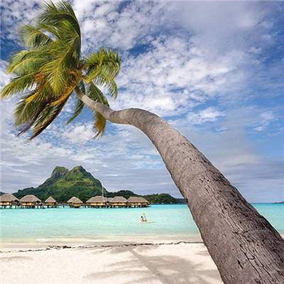 欢迎使用乐鱼App