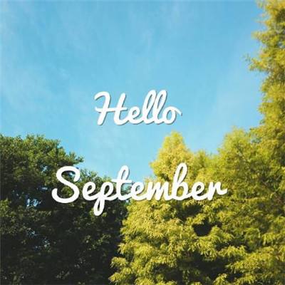 万博app下载最新版