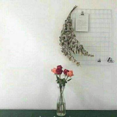 bob体体育app下载