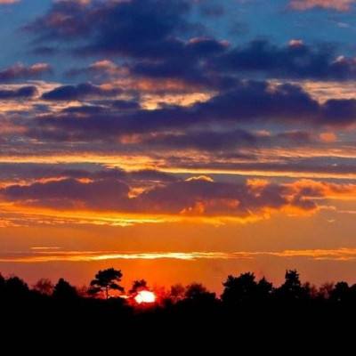 JN江南·体育注册