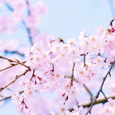 zoty中欧体育·(KOK)